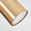 Javel Deckenleuchte Gold, 3-flammig