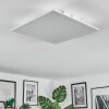 Orain Deckenpanel LED Weiß, 1-flammig, Farbwechsler
