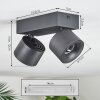 Narel Deckenleuchte LED Schwarz, 2-flammig