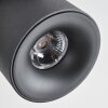 Narel Deckenleuchte LED Schwarz, 2-flammig