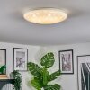 Peran Deckenleuchte LED Weiß, 1-flammig, Farbwechsler