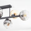 Ripoll Deckenleuchte Glas 15 cm Bernsteinfarben, Klar, Rauchfarben, 6-flammig