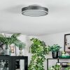 Salmi Deckenpanel LED Grau, Silber, 1-flammig