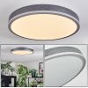 Salmi Deckenpanel LED Grau, Silber, 1-flammig