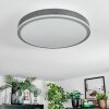 Salmi Deckenpanel LED Grau, Silber, 1-flammig