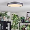 Salmi Deckenpanel LED Grau, Silber, 1-flammig