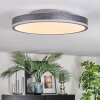 Salmi Deckenpanel LED Grau, Silber, 1-flammig