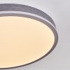Salmi Deckenpanel LED Grau, Silber, 1-flammig