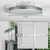 Salmi Deckenpanel LED Grau, Silber, 1-flammig