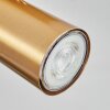 Javel Deckenleuchte Gold, 4-flammig