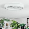 Rarel Deckenleuchte LED Silber, Weiß, 1-flammig
