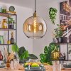 Koyoto Hängeleuchte Glas 30 cm Gold, 1-flammig