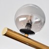 Chehalis Deckenleuchte Glas 10 cm, 12 cm, 15 cm Gold, Schwarz, 10-flammig