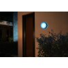 Philips Hue White & Color Ambiance Daylo Wandleuchte LED Edelstahl, 1-flammig