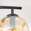 Ripoll Deckenleuchte Glas 15 cm Bernsteinfarben, Klar, Rauchfarben, 2-flammig