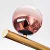Chehalis Deckenleuchte Glas 10 cm, 12 cm, 15 cm Gold, Schwarz, 10-flammig