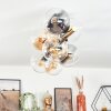 Gastor Deckenleuchte Glas 15 cm Gold, Schwarz, 8-flammig