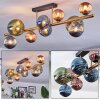 Chehalis Deckenleuchte Glas 10 cm, 12 cm, 15 cm Gold, Schwarz, 10-flammig