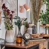 Javel Wandleuchte Rosa, Weiß, 1-flammig