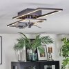 Hyacinthe Deckenventilator mit Beleuchtung LED Chrom, Schwarz, 1-flammig, Fernbedienung
