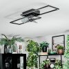 Hyacinthe Deckenventilator mit Beleuchtung LED Chrom, Schwarz, 1-flammig, Fernbedienung