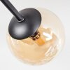 Chehalis Deckenleuchte Glas 10 cm Bernsteinfarben, Rauchfarben, 6-flammig