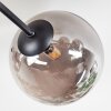 Chehalis Deckenleuchte Glas 12 cm, 15 cm Rauchfarben, 6-flammig