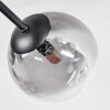 Chehalis Deckenleuchte Glas 10 cm, 12 cm Klar, Rauchfarben, 6-flammig