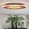 Meron Deckenleuchte LED Holzoptik, Schwarz, 1-flammig