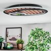 Meron Deckenleuchte LED Holzoptik, Schwarz, 1-flammig