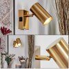 Javel Wandleuchte Gold, 1-flammig