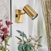 Javel Wandleuchte Gold, 1-flammig