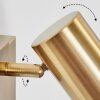 Javel Wandleuchte Gold, 1-flammig