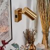 Javel Wandleuchte Gold, 1-flammig