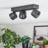 Narel Deckenleuchte LED Schwarz, 3-flammig