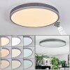 Salmi Deckenpanel LED Grau, Silber, 1-flammig, Fernbedienung