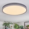 Salmi Deckenpanel LED Grau, Silber, 1-flammig, Fernbedienung