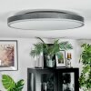 Salmi Deckenpanel LED Grau, Silber, 1-flammig, Fernbedienung