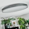Salmi Deckenpanel LED Grau, Silber, 1-flammig, Fernbedienung