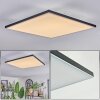 Barullu Deckenpanel LED Schwarz, Weiß, 1-flammig