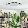 Barullu Deckenpanel LED Schwarz, Weiß, 1-flammig