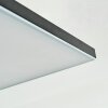 Barullu Deckenpanel LED Schwarz, Weiß, 1-flammig