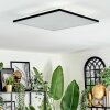 Barullu Deckenpanel LED Schwarz, Weiß, 1-flammig