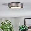 Tavin Deckenleuchte LED Nickel-Matt, 1-flammig