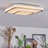 Borin Deckenleuchte LED Grau, Weiß, 1-flammig