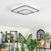 Borin Deckenleuchte LED Grau, Weiß, 1-flammig