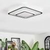 Borin Deckenleuchte LED Grau, Weiß, 1-flammig