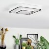Borin Deckenleuchte LED Grau, Weiß, 1-flammig