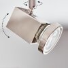 Danil Deckenleuchte LED Nickel-Matt, 4-flammig