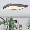 Finsrud Deckenpanel LED Schwarz, 1-flammig